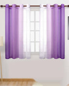 Purple / 1.32x 1.6