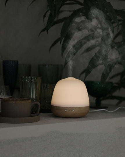 Ultrasonic Home Creative Essential Oil Humidifier